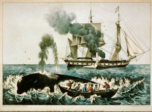 Whale fishery c 1860